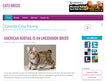 Tablet Screenshot of cats-breed.com